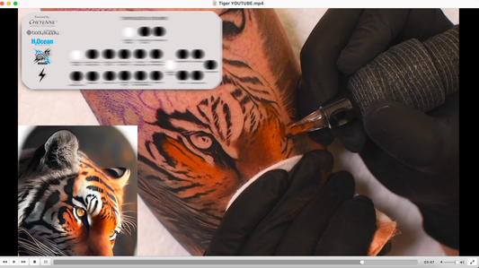 GOLD Bundle (Dog + Tiger + Floki)