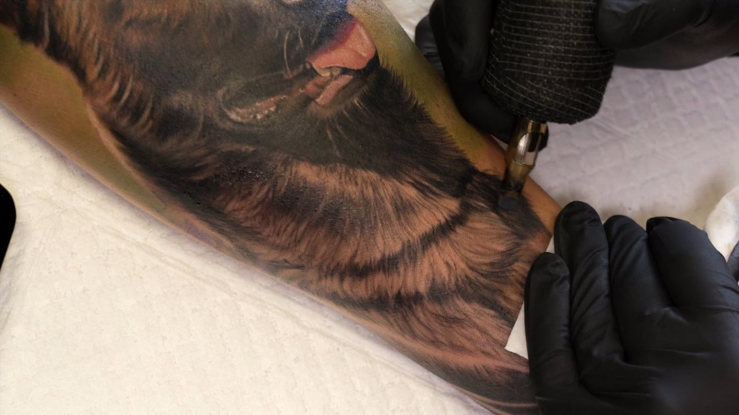 Realistic Dog - Online Tattoo Seminar